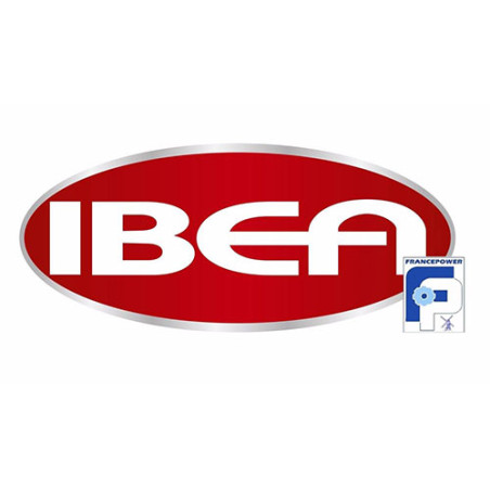 14 - IBEA
